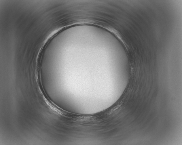 X0000059231143200511111541