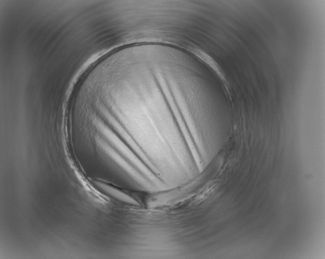 X0000059231144200511111541