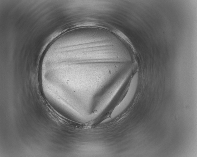 X0000059231146200511111542