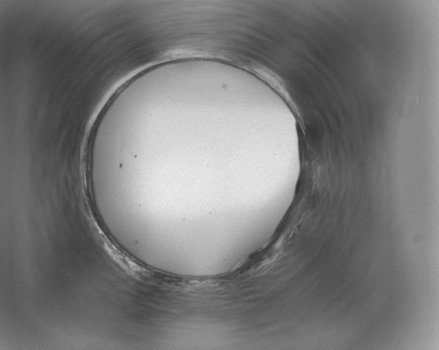 X0000059231148200511111542