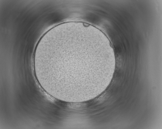 X0000059231150200511111542