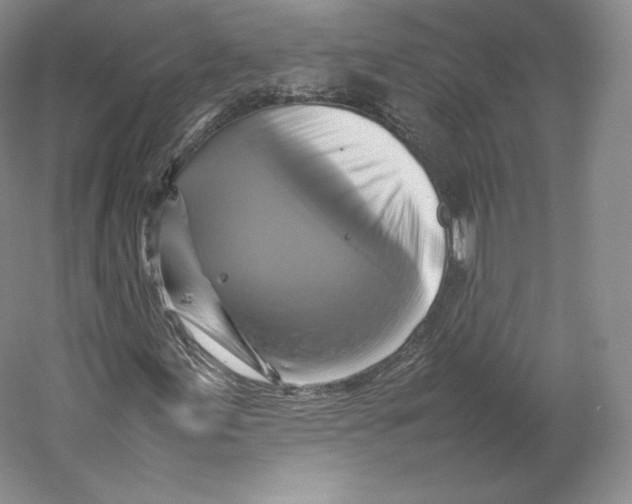 X0000059231155200511111541