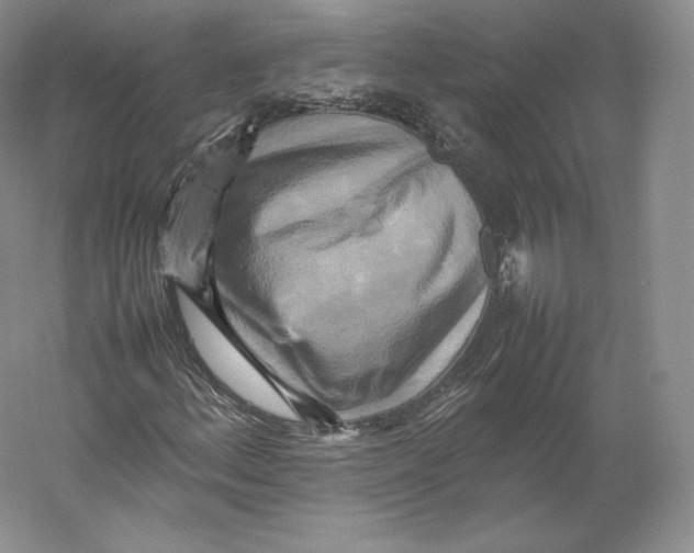 X0000059231156200511111541