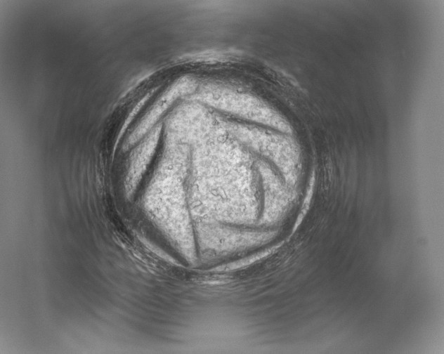 X0000059231158200511111541