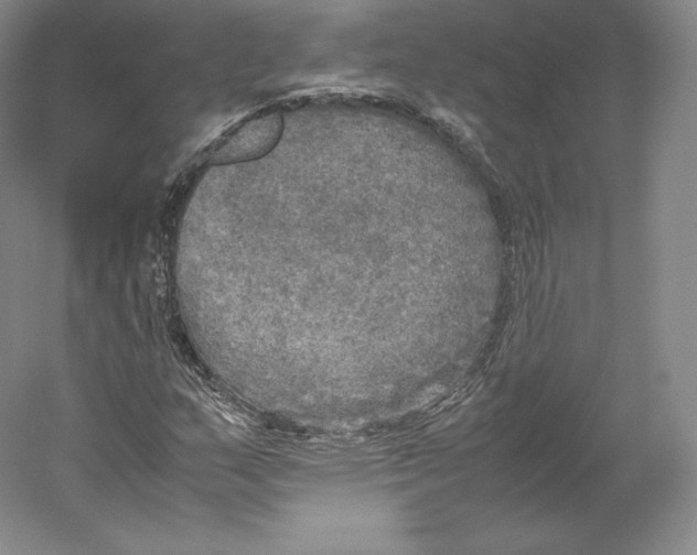 X0000059231159200511111541