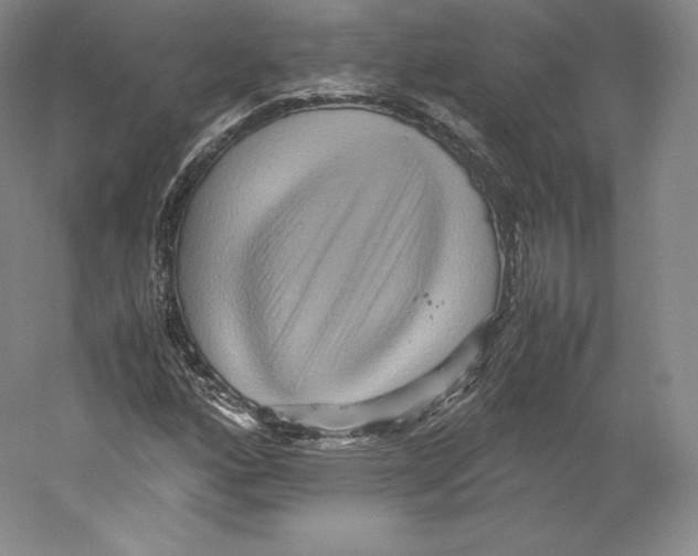 X0000059231160200511111541