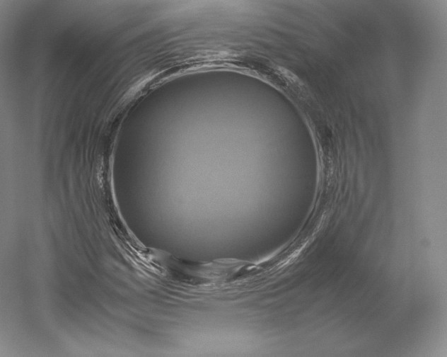 X0000059231161200511111541