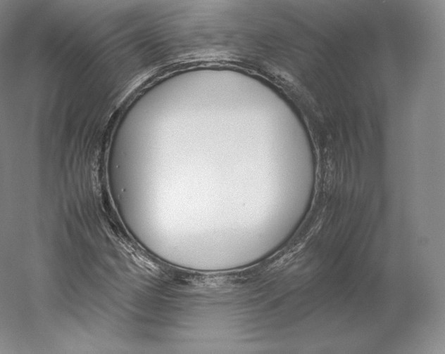 X0000059231162200511111541