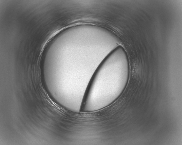 X0000059231164200511111541