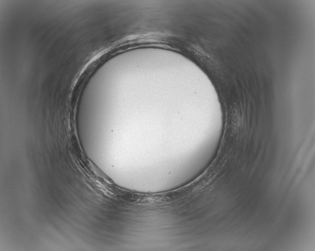 X0000059231166200511111541