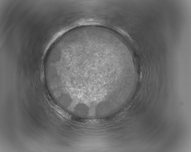 X0000059231167200511111541