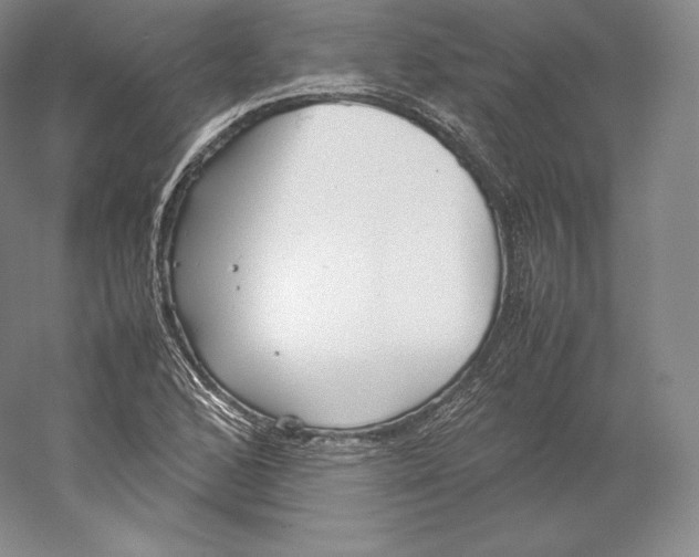 X0000059231168200511111541