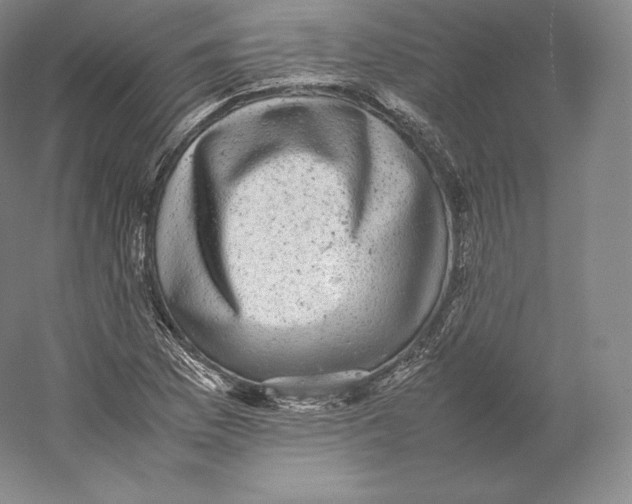 X0000059231169200511111541