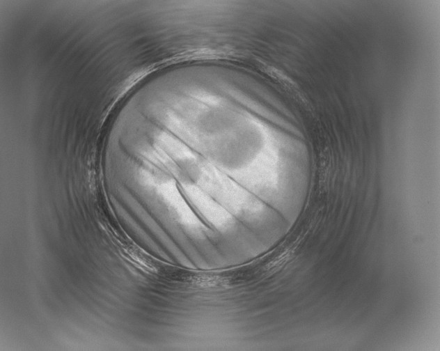 X0000059231170200511111541