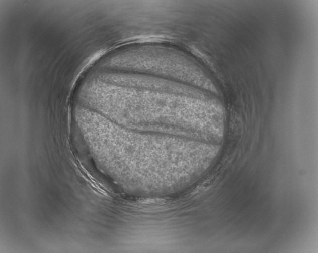 X0000059231171200511111541