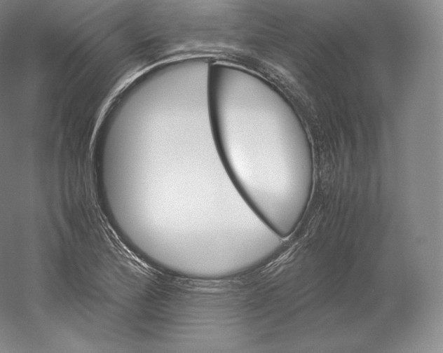 X0000059231172200511111540