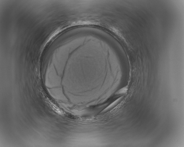 X0000059231173200511111540