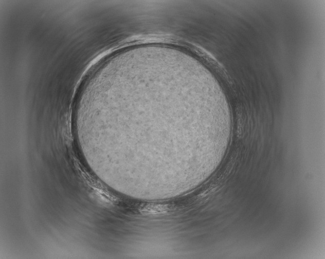 X0000059231174200511111540