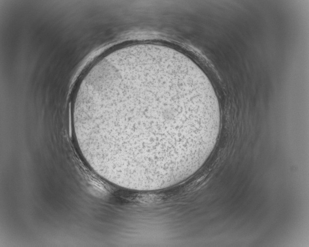 X0000059231175200511111540