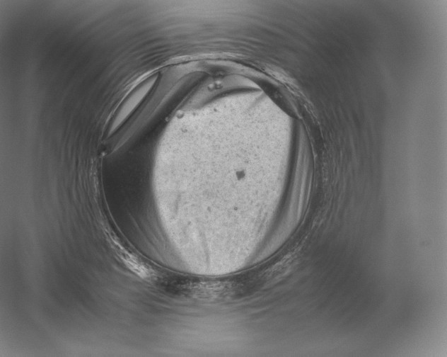 X0000059231177200511111540