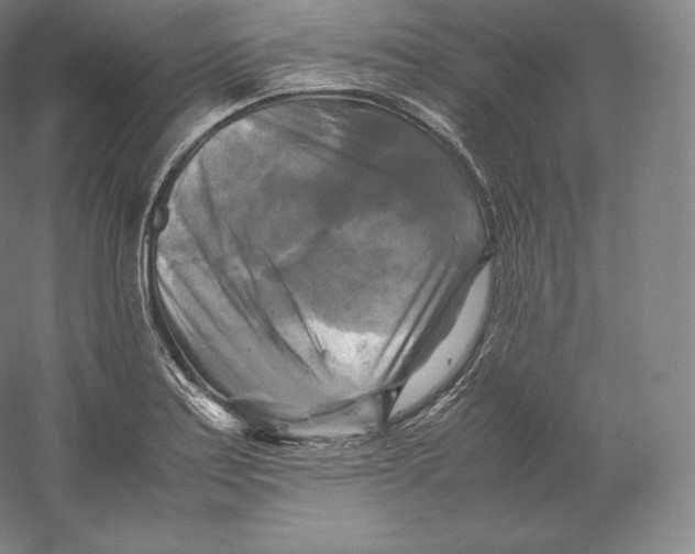 X0000059231179200511111540