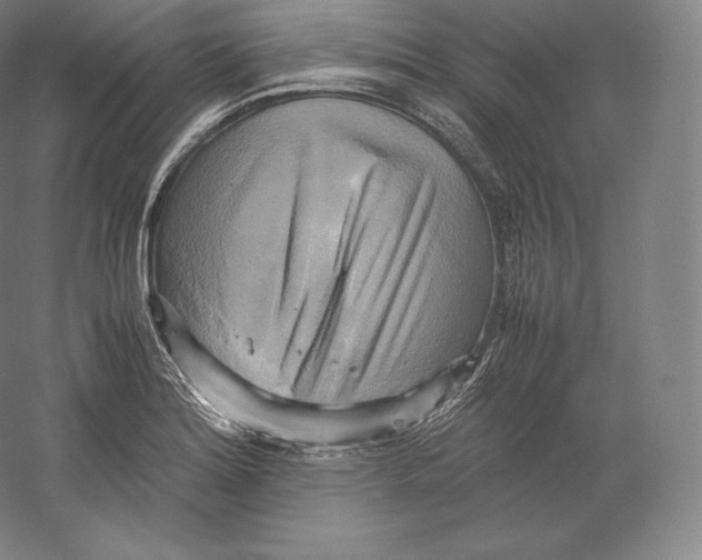 X0000059231180200511111540