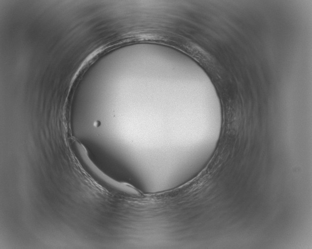 X0000059231182200511111540