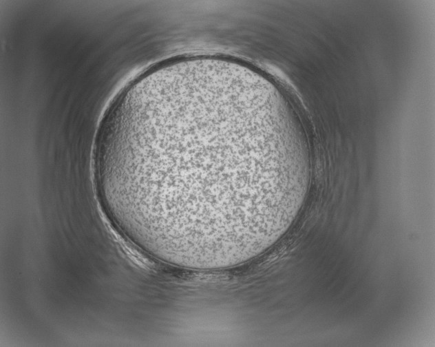 X0000059231183200511111540