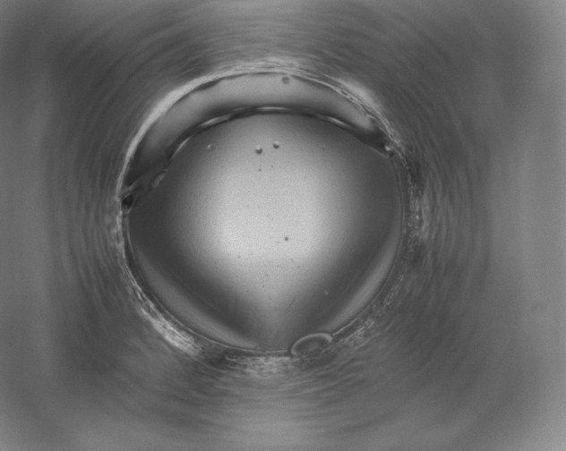 X0000059231184200511111540