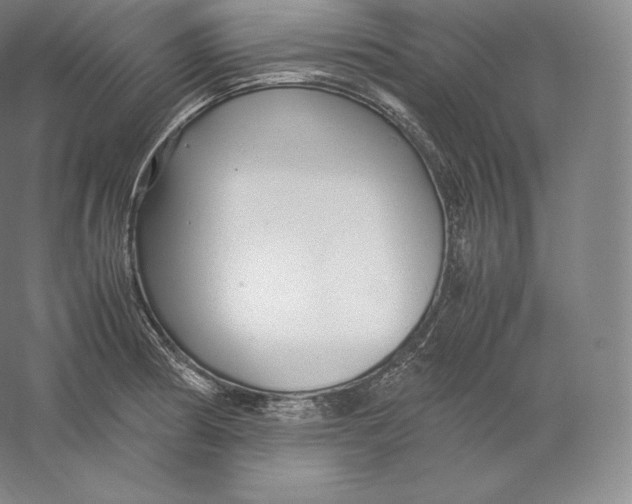 X0000059231186200511111540