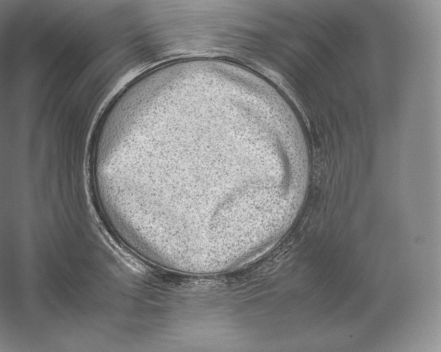 X0000059231187200511111540