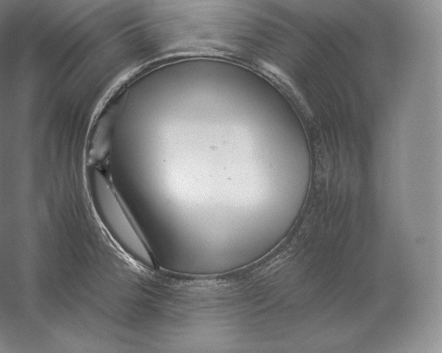 X0000059231188200511111540