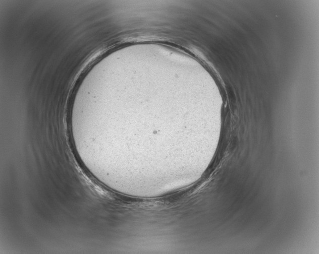 X0000059231189200511111540