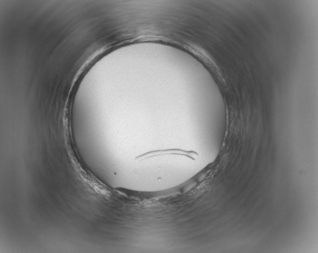 X0000059231190200511111540