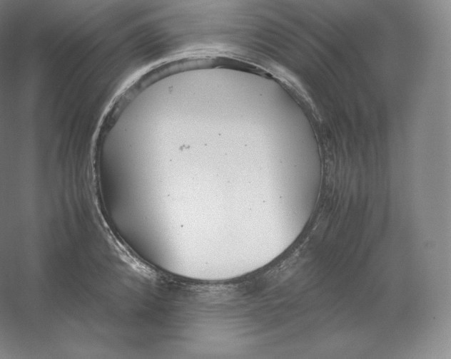 X0000059231192200511111540