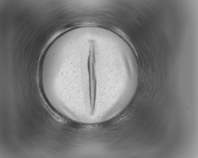 X0000059231195200511111540