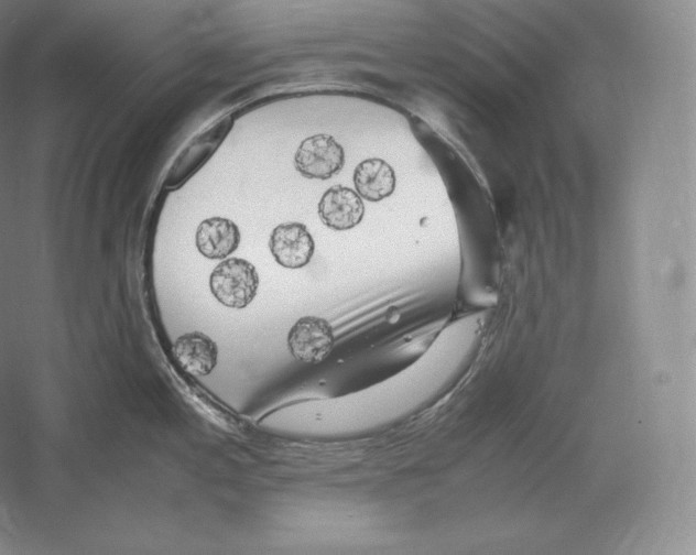 X0000059231197200511111540