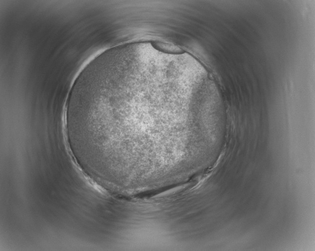 X0000059231198200511111540