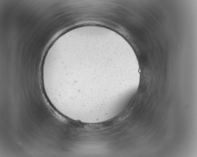 X0000059231199200511111540