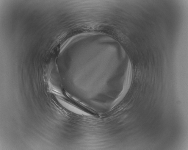 X0000059231202200511111539