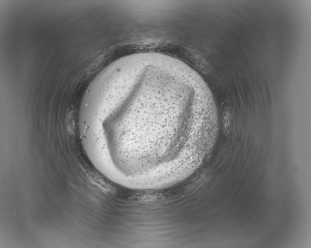 X0000059231204200511111539