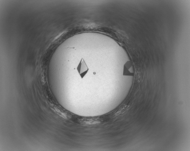 X0000059231205200511111539