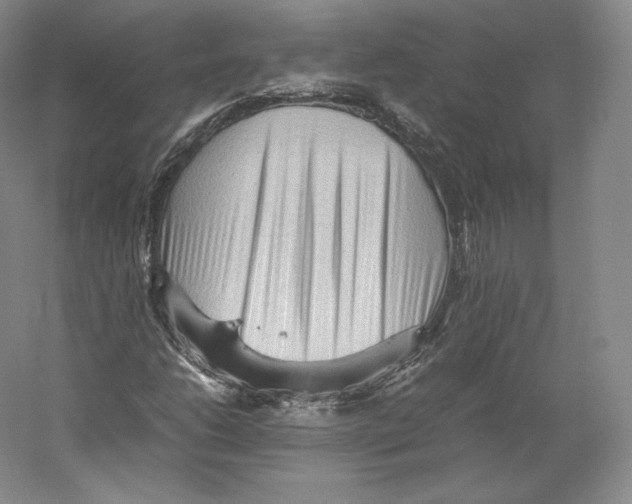 X0000059231206200511111539