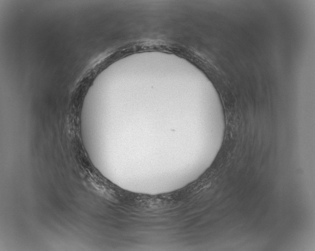 X0000059231207200511111539