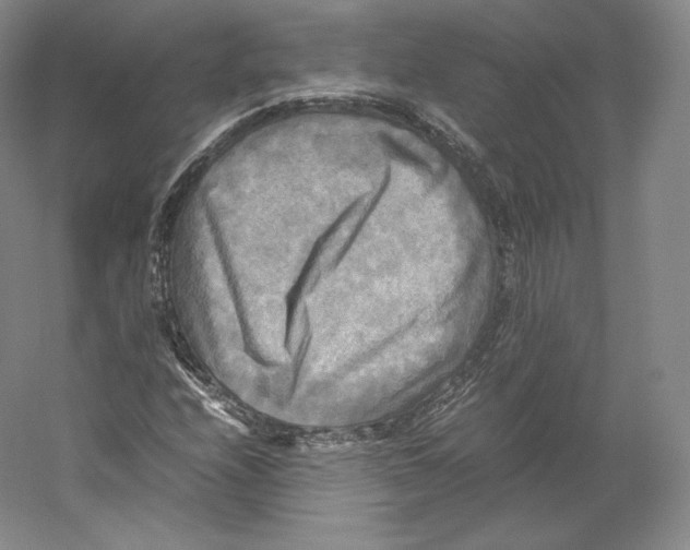 X0000059231208200511111539