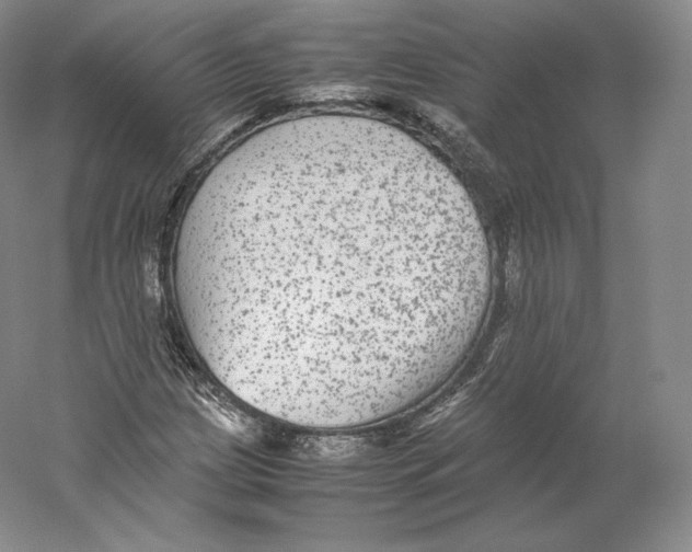 X0000059231209200511111539