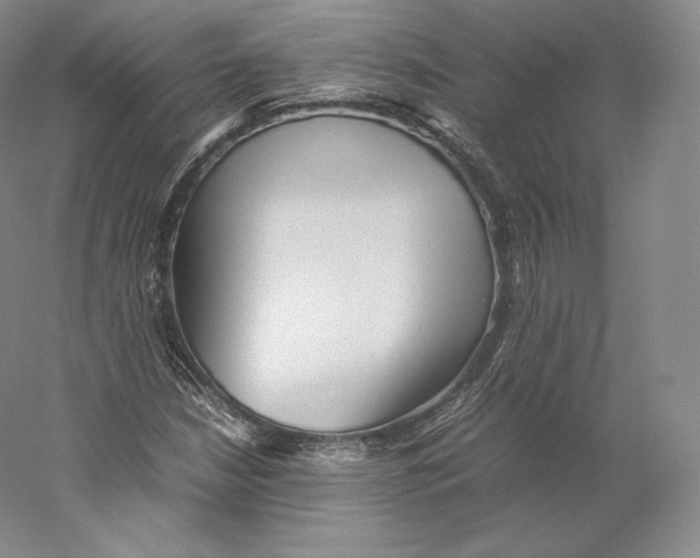 X0000059231210200511111539