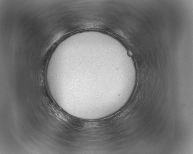 X0000059231211200511111539