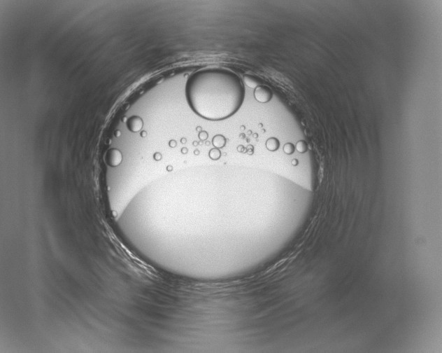 X0000059231212200511111539