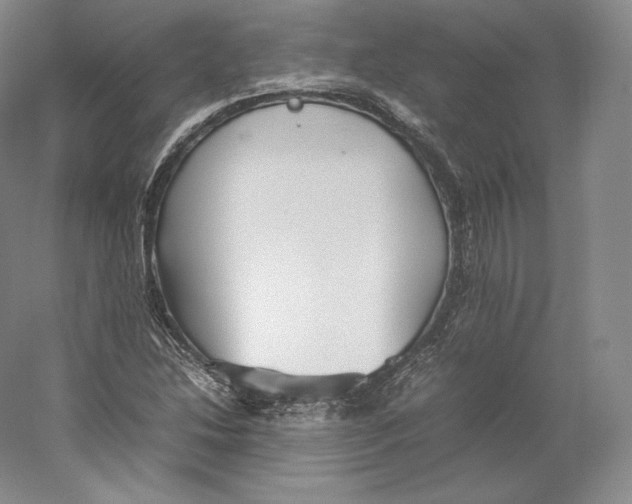 X0000059231214200511111539